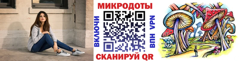 цена   Серафимович  Галлюциногенные грибы Cubensis 